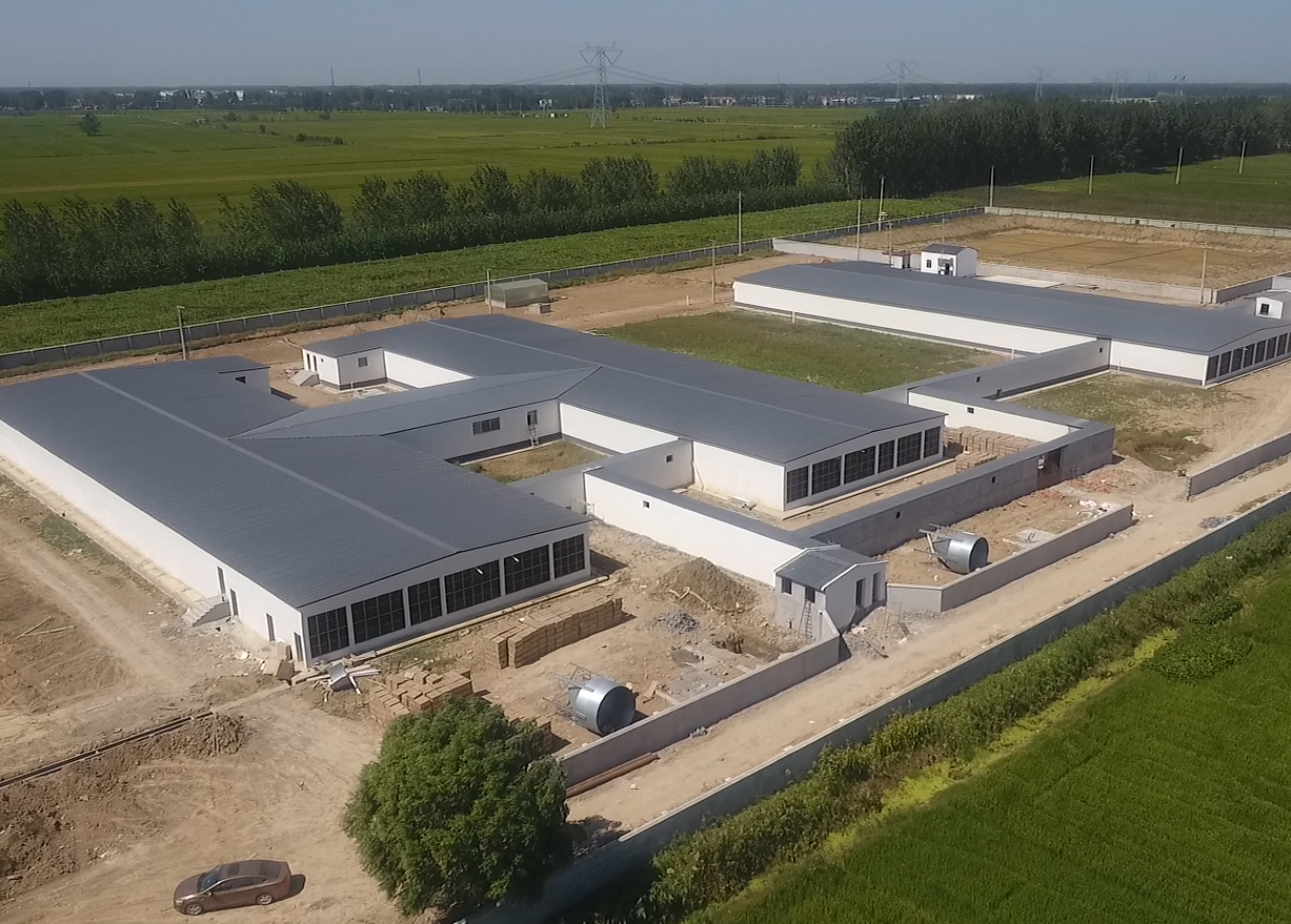 乐鱼网Antibio系统-灌云公猪站空气过滤